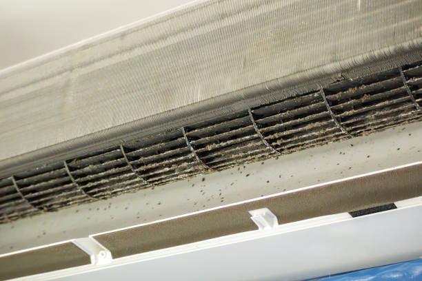 Best Ductwork Odor Removal in Vonore, TN